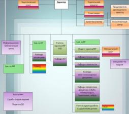 Структура управления образовательной организации
